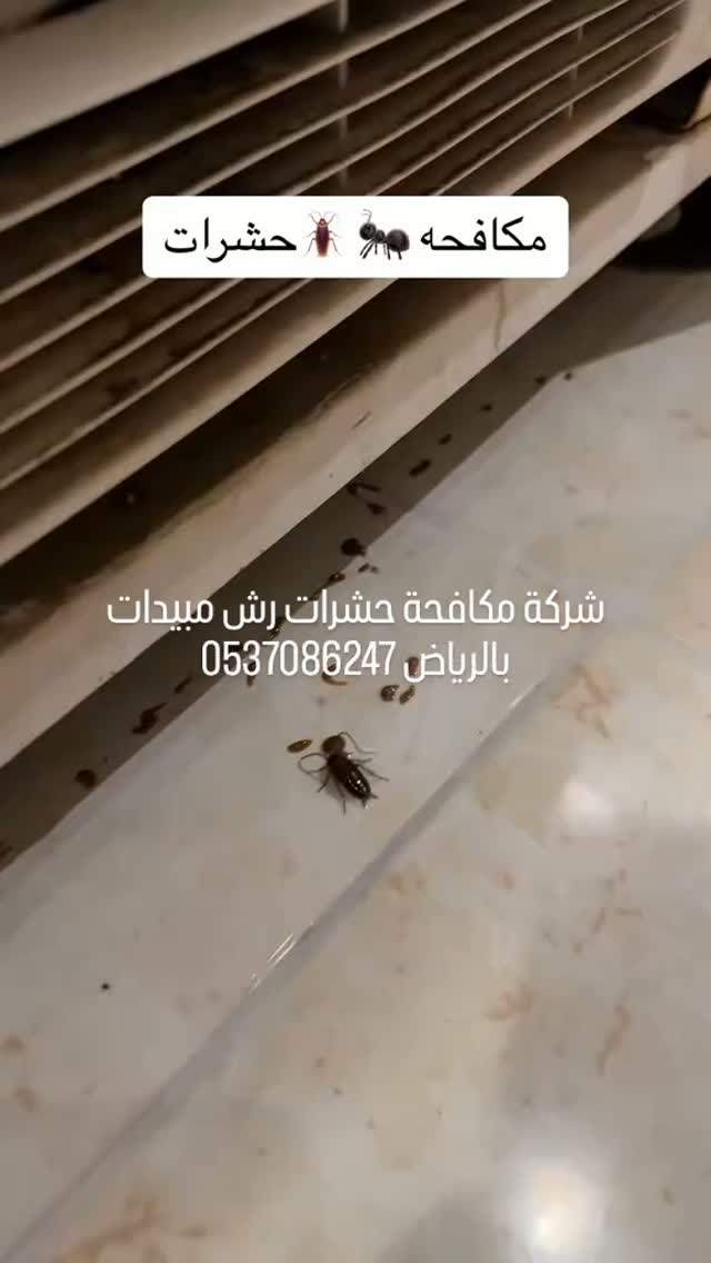 صورة من الأعمال نشرها شركة رغدا كلين / Ragda Clean