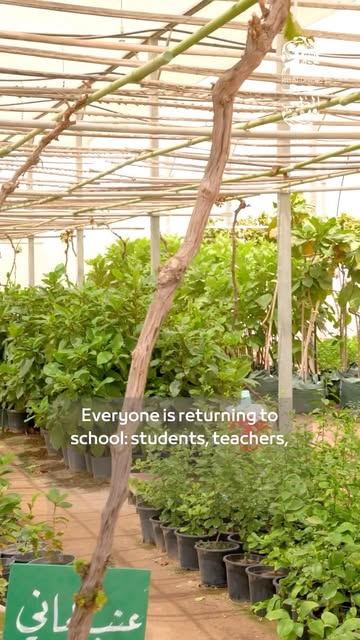 صورة من الأعمال نشرها مزرعه ومشاتل جري الظبي / Jeri Al-Dhaby Farm & Nurseries