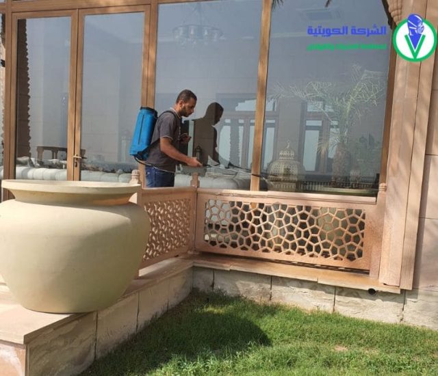 صورة من الأعمال نشرها الشركة الكويتية لمكافحة الحشرات