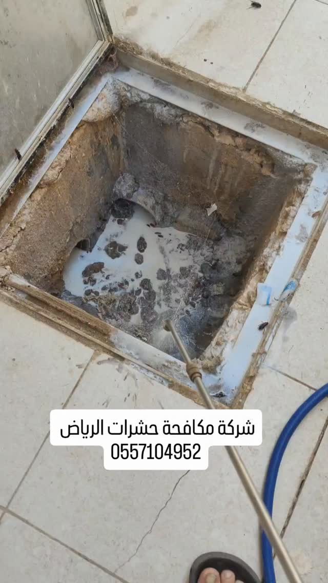 صورة من الأعمال نشرها شركة مكافحة حشرات بالرياض / رش مبيدات