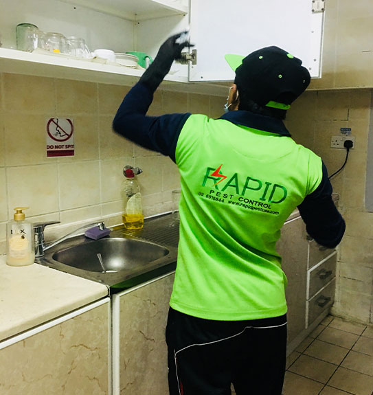 صورة من الأعمال نشرها رابيد لمكافحة الآفات / Rapid Pest Control