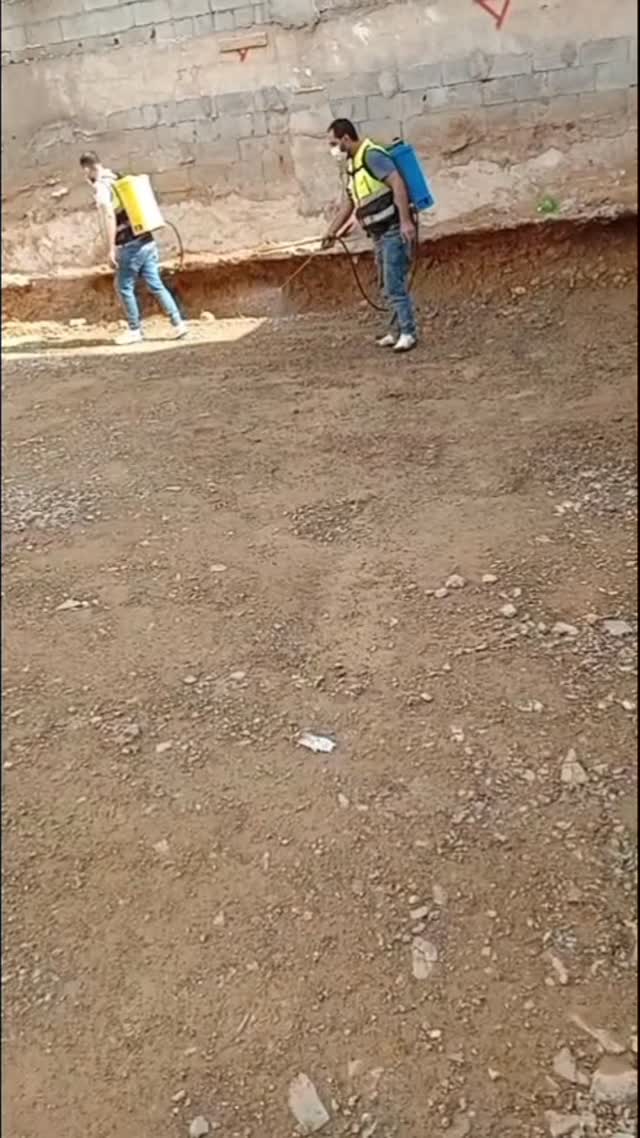 صورة من الأعمال نشرها الشركة العالمية لمكافحة الحشرات بجدة